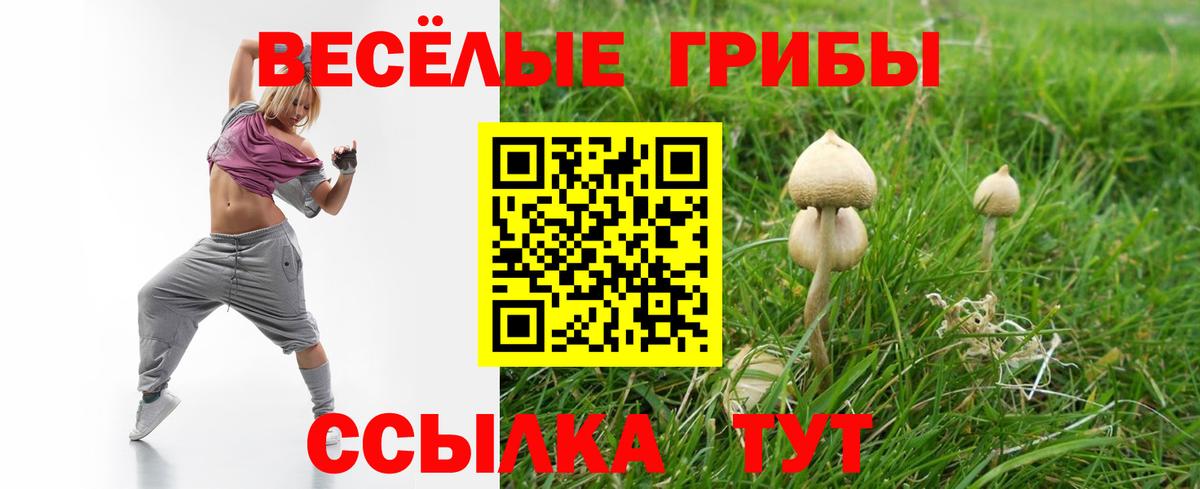 Нижний Новгород  Псилоцибиновые грибы Magic Shrooms  Вход с VPN  Галлюциногенные грибы ЛСД 